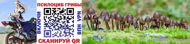 Псилоцибиновые грибы мицелий  Узловая 
